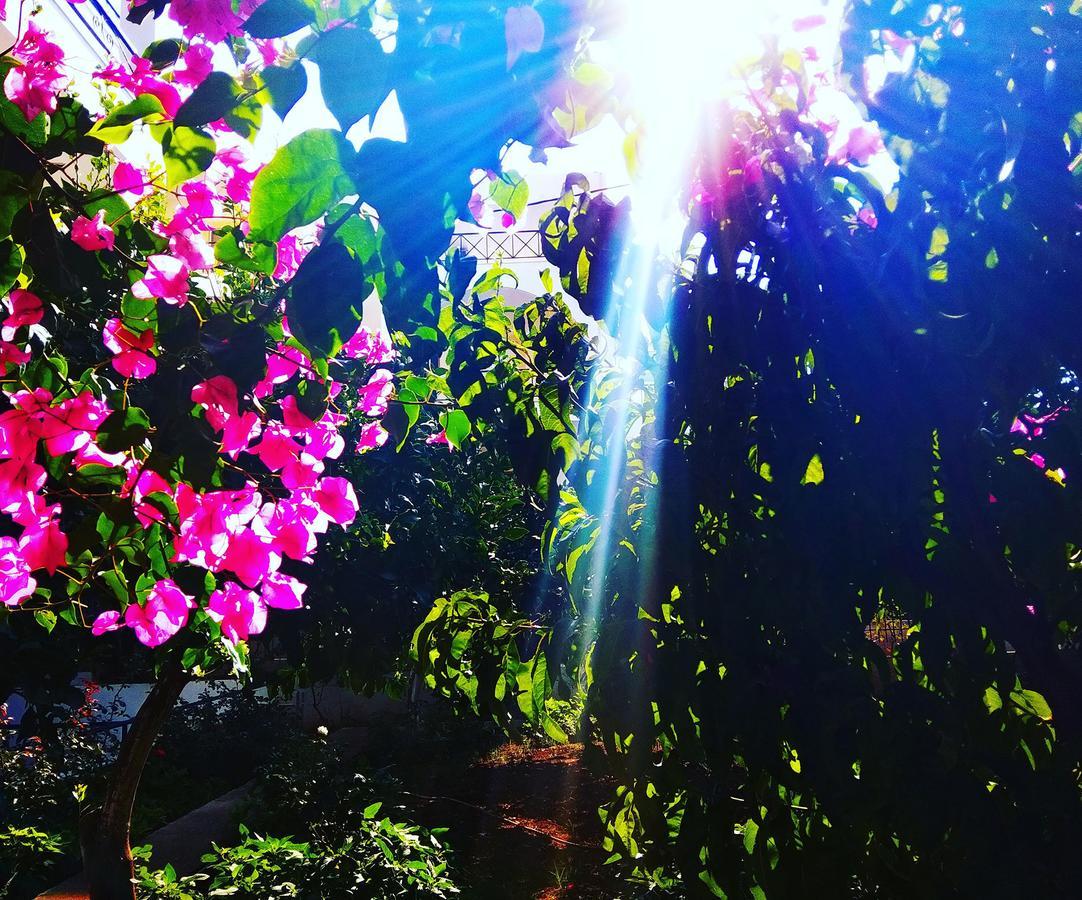 Christina Perlia Studios Poros Town Bagian luar foto